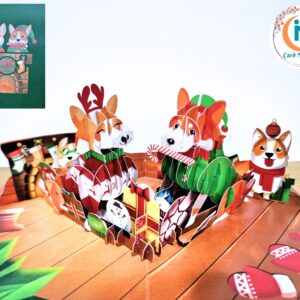 Card Mavens Pop Up Card