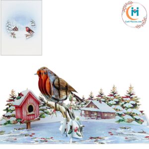 Card Mavens Pop Up Card